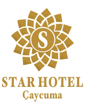 Star Hotel Çaycuma